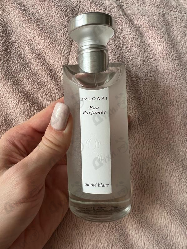 bvlgari au de blanc
